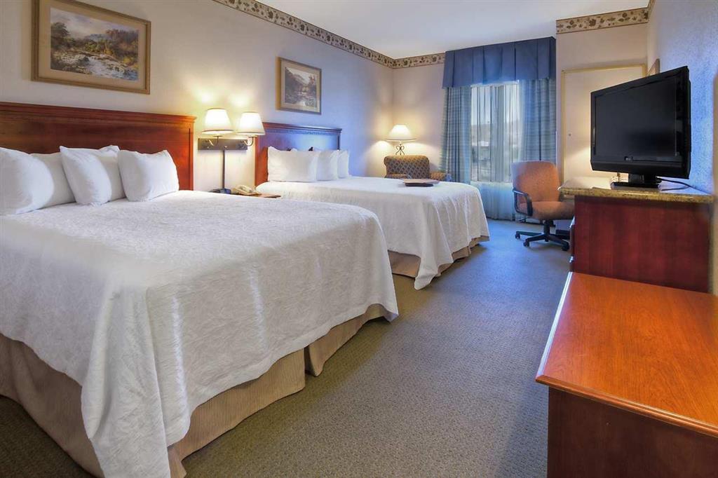 Hampton Inn - Great Falls Habitación foto